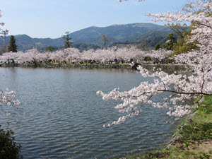 日本九州春天自助遊