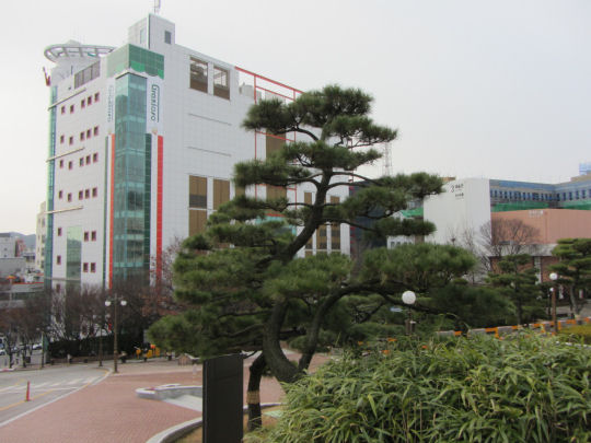 釜山慶星大學校園