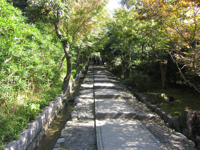 京都東山區 往高台寺的一段寧寧之道