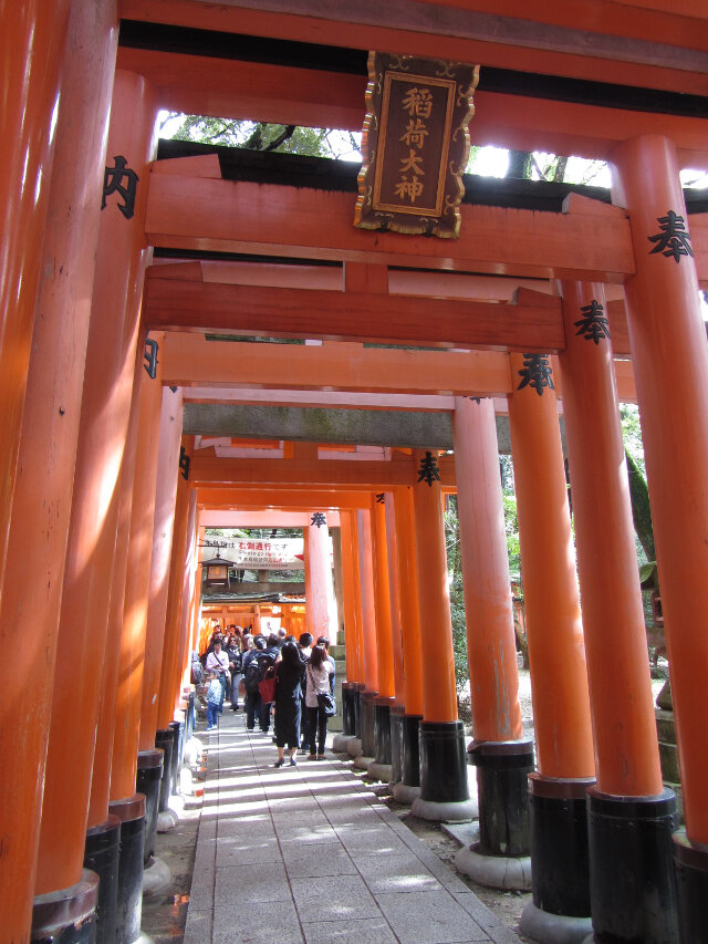 京都．伏見稻荷大社 祭場鳥居隧道