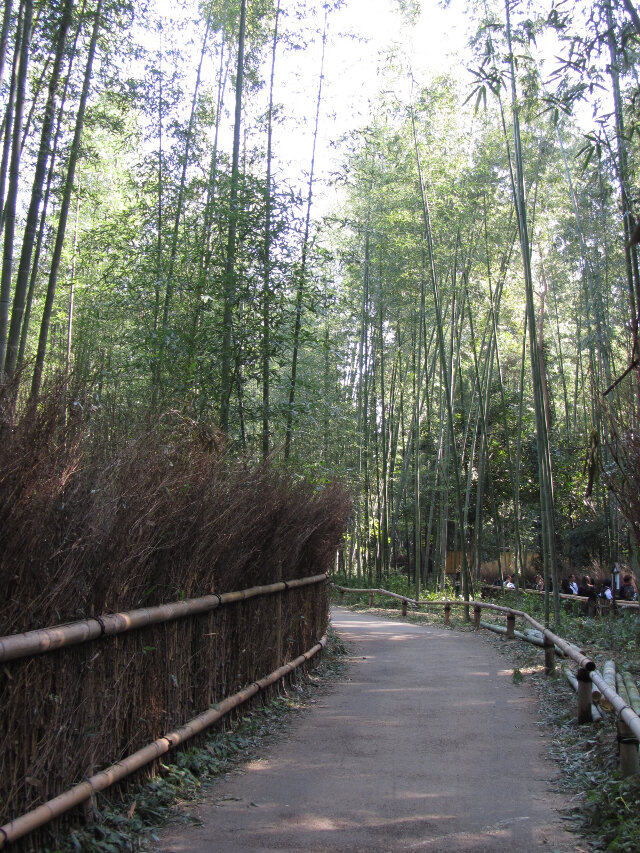 京都．嵐山竹林之道