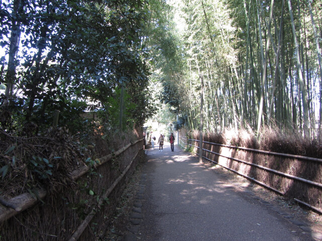 京都嵯峨野竹林之散策路