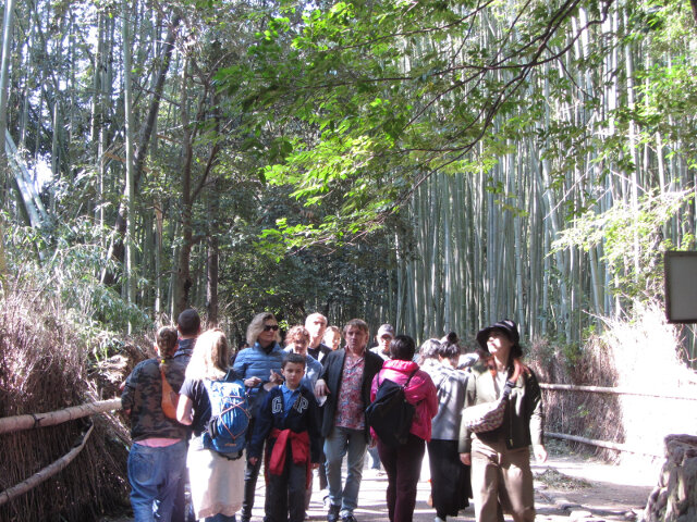 京都嵐山竹林之道
