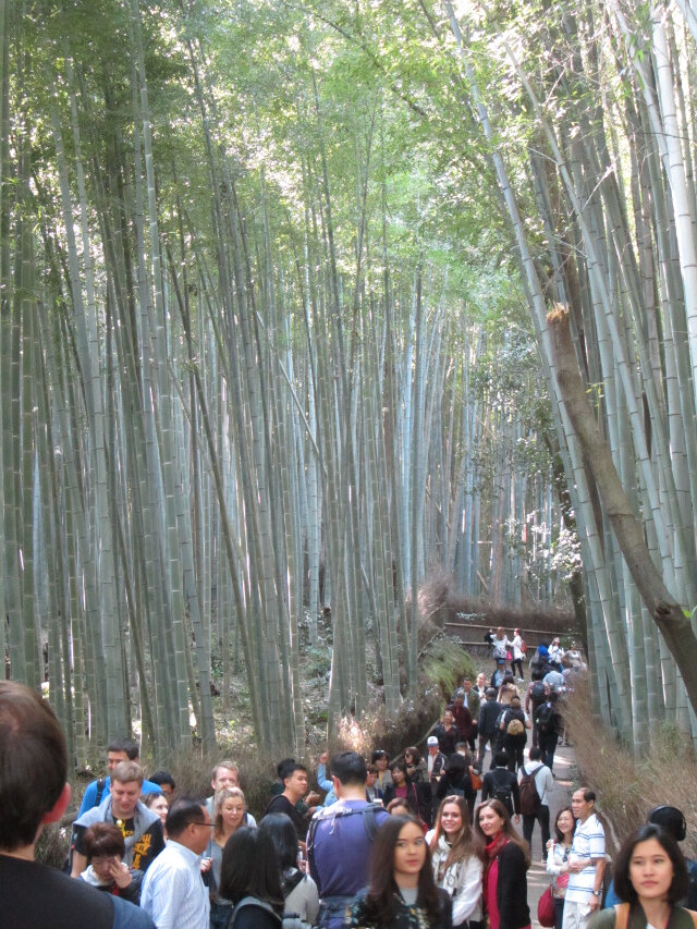京都嵐山竹林之道