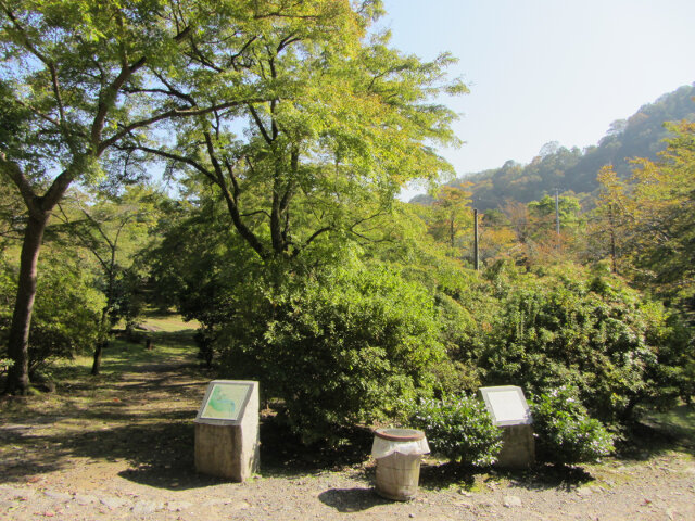 京都嵐山．龜山公園