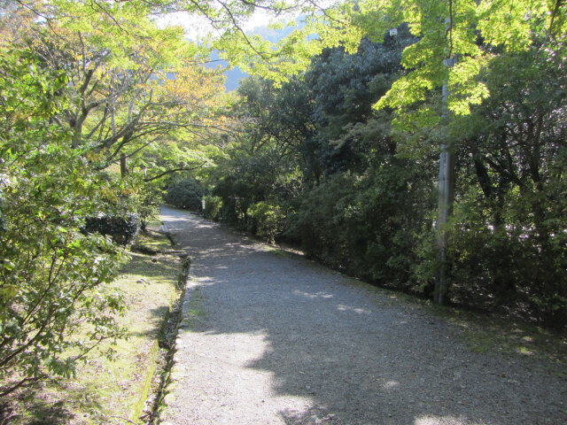 京都嵐山．龜山公園往保津川畔山路