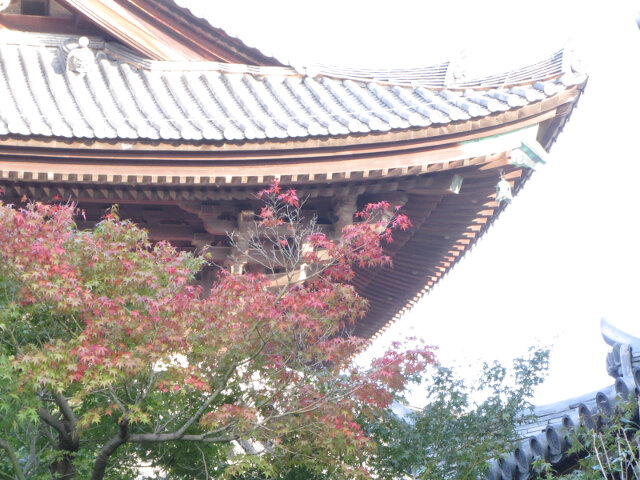 京都．東福寺 禅堂