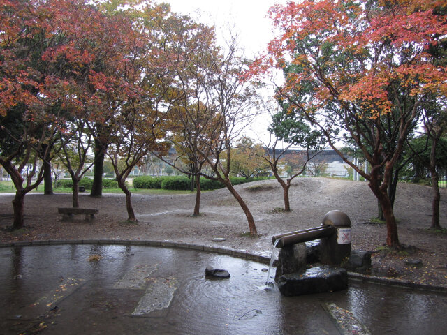 京都 梅小路公園 秋天紅楓葉景色