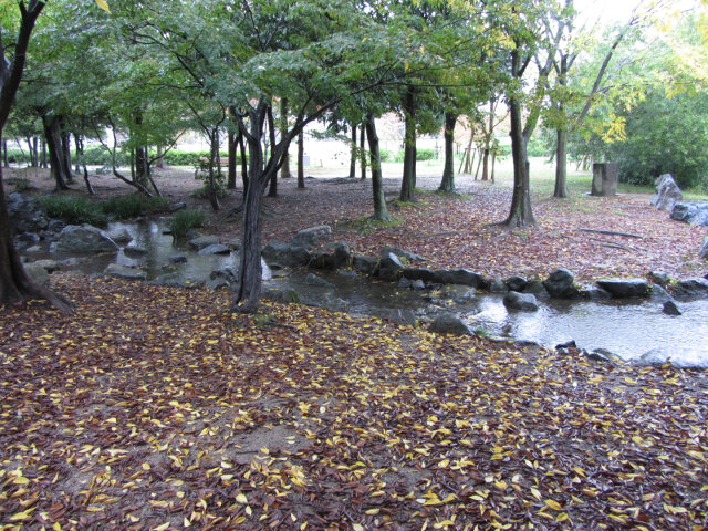 京都 梅小路公園 秋天景色