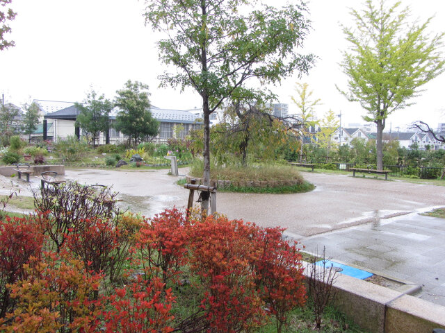 京都 梅小路公園 秋天景色
