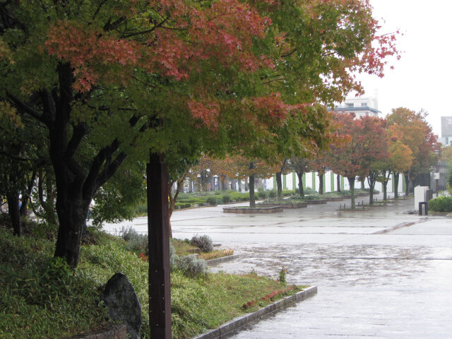 京都梅小路公園 秋天紅葉景色