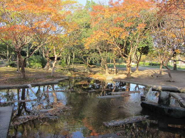 京都 梅小路公園 紅楓葉