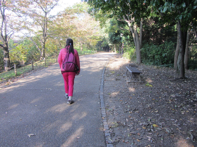 京都 梅小路公園