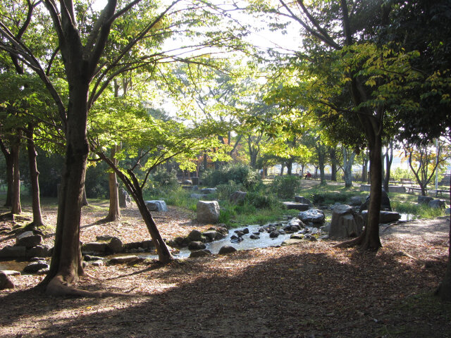 京都 梅小路公園