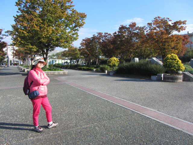 京都梅小路公園紅楓葉