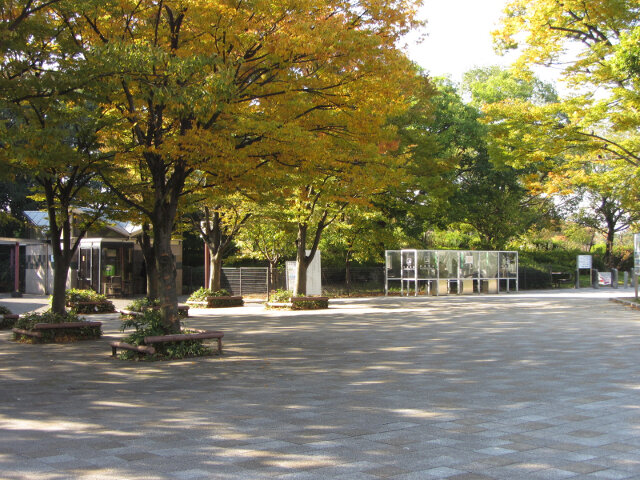 京都梅小路公園．大宮入口紅楓葉