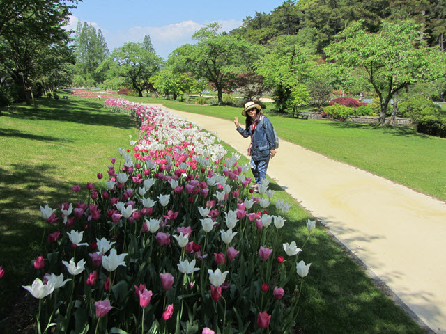 日本濱松花卉公園 水邊的廣場 鬱金香花圃