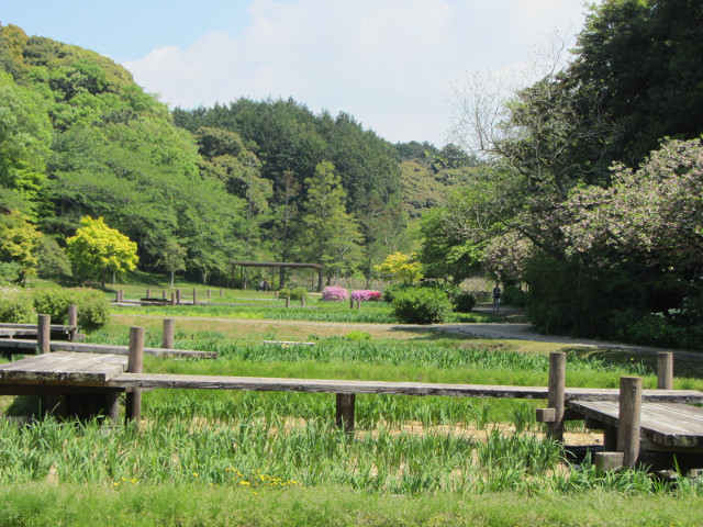 日本濱松花卉公園