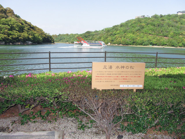 濱松濱名湖 湖岸道 水神松公園．水神の松(足湯)