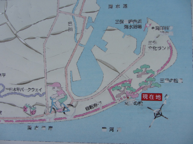 静岡市清水區三保松原 地圖