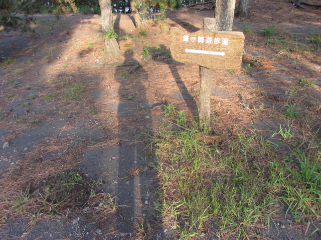 静岡市清水區三保松原 羽衣公園內遊步道 (鐮ケ崎遊步道)