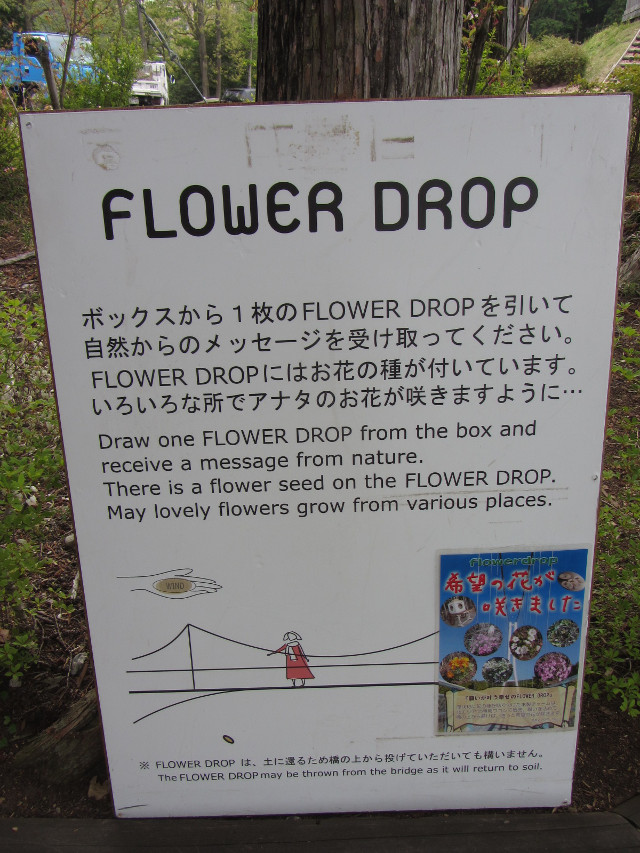 三島大吊橋 北面的 Flower Drop 展望台