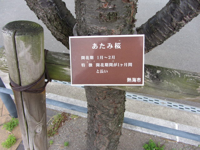 靜岡縣熱海市 熱海親水公園 (Shinsui Park)