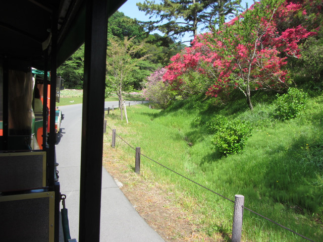 日本濱松．濱松花卉公園 遊園觀光列車