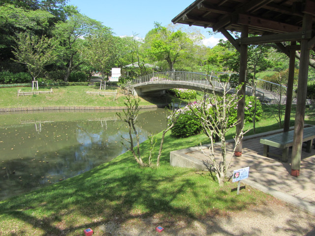 日本濱松．濱松花卉公園
