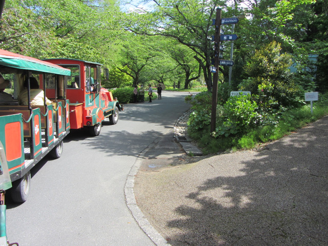 日本濱松．濱松花卉公園 遊園觀光列車