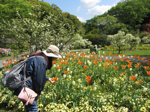 日本濱松花卉公園 水邊的廣場