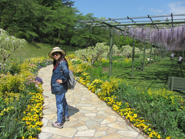 濱松花卉公園 紫藤花、花徑