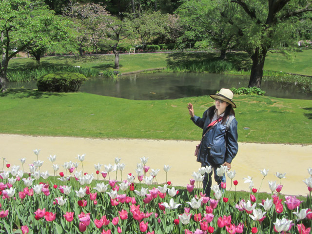 日本濱松花卉公園 水邊的廣場 鬱金香花圃