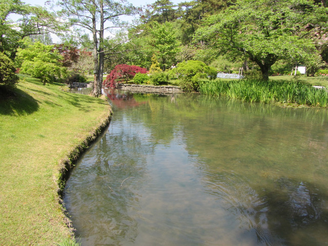 日本濱松花卉公園 水邊的廣場 池塘