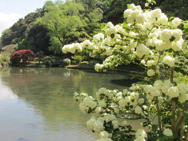 日本濱松花卉公園