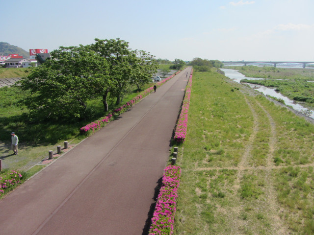 蓬萊橋 大井川畔的健行步道