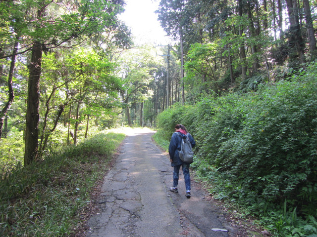從蓬萊橋沿蓬萊七福神の小路走往靜岡縣牧之原大茶園