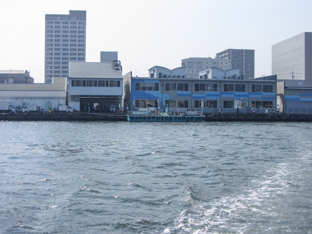 静岡市清水港 乘搭渡輪遊覽