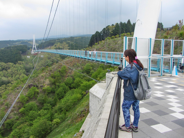 日本靜岡縣三島市 三島大吊橋 日本最長的吊橋