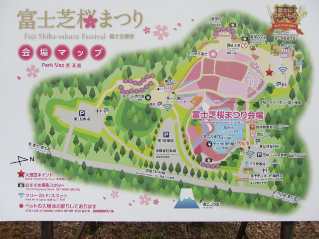 山梨縣 富士芝櫻祭 (富士本栖湖度假區) 遊覽地圖