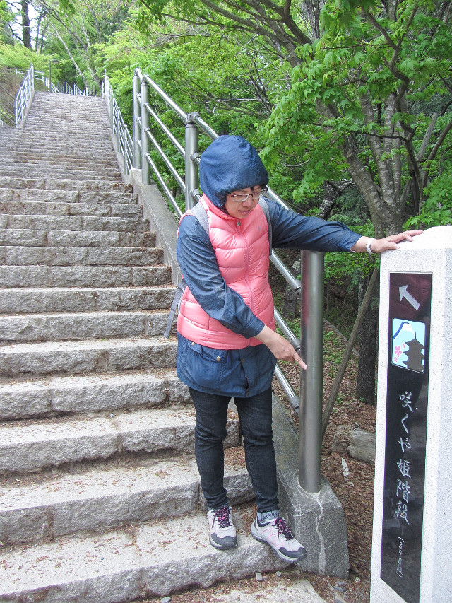 新倉山淺間公園 登山石階 咲くや姫階段