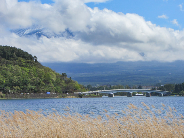 河口湖 富士山