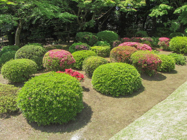 舊古河庭園．日本庭園