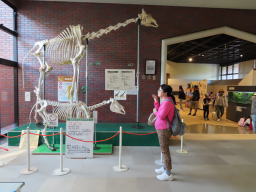 熊本市動植物園‧動物資料館