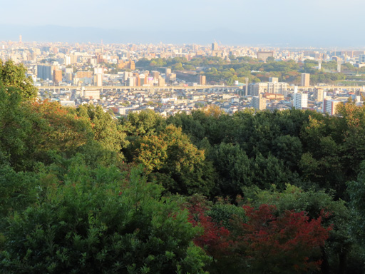熊本市‧本妙寺展望台眺望