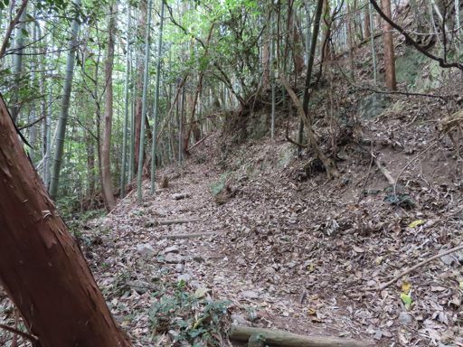 三角岳登山口至天翔台段山路