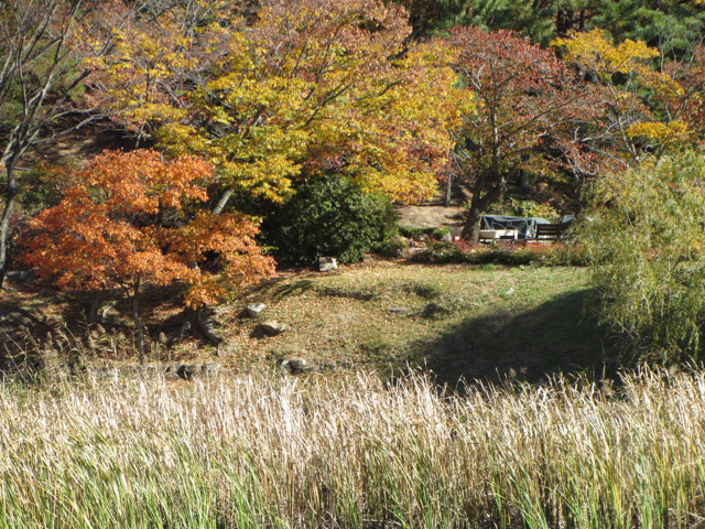 韓國慶州 佛國寺秋天紅葉景色