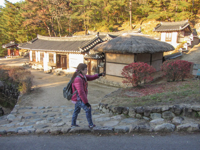 韓國安東民俗村 (안동민속촌Andong Folk Village) 