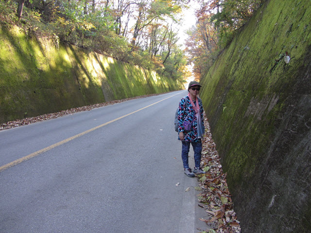 韓國丹陽 青苔路