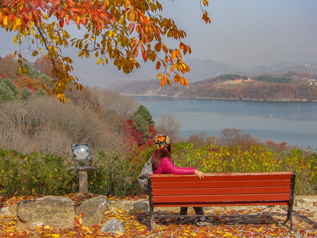 韓國忠州湖 秋天景色
